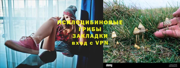 экстази Баксан