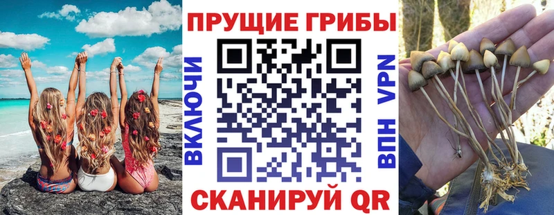 Галлюциногенные грибы ЛСД  Лесосибирск 